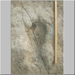 102_6431 (2013-08-09)mod.JPG